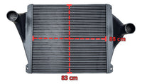 Postenfriador Freightliner Cascadia Reforzado (bar&plate)