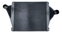 Postenfriador Freightliner Cascadia Reforzado (bar&plate)